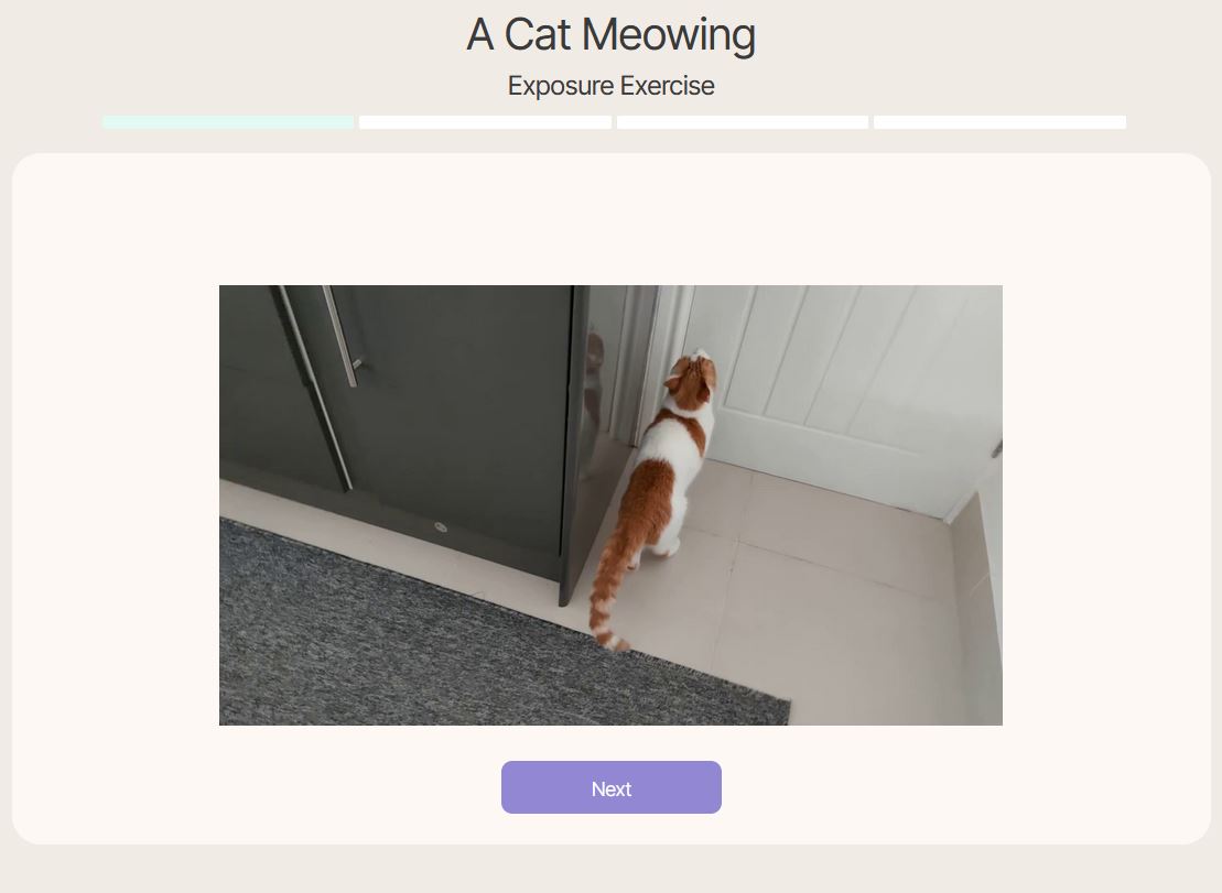 Custom Exposure Exercises